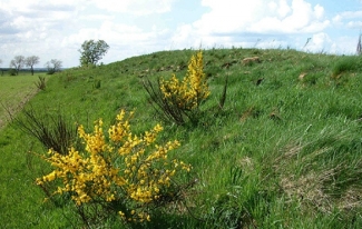 Haversdås langhøj og dysse