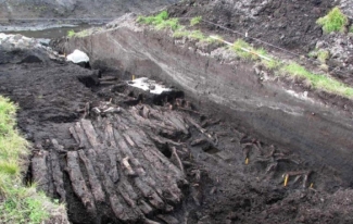 Enslev Mose Oldtidsveje