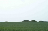 8: Borum Eshøj (t.h.) og de tre genopførte gravhøje set fra nord.