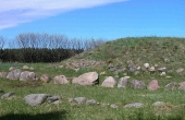 Højen fra Egehøjs første byggefase med stenmur langs højfoden. Stencirklerne omkring højen markerer de senere højfaser.