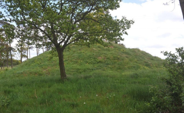 6: Bronzealdergravhøjen set fra vest. Nu fra hegnet og med fint græsdække.