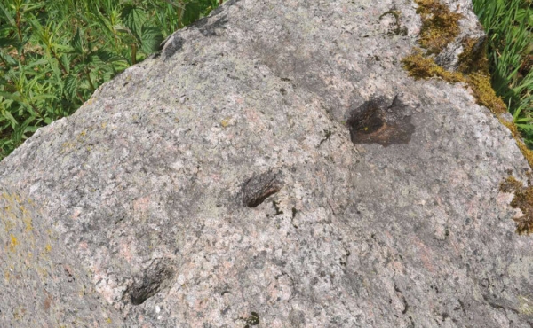 14: På flere af langdyssens tilbageværende sten ses kløvehuller fra stenhugst i nyere tid.