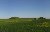 1: Panorama set fra nordvest over marken med den sidste tilbageværende høj fra bronzealderens højgruppe. Til højre for højen ind mod markskellet ses forhøjningen fra en af de 9 øvrige kendte overpløjede gravhøje tydeligt.