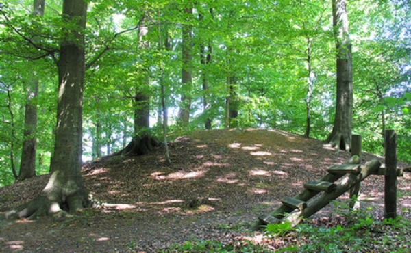 1: Klinteskoven er rig på især gravhøje fra bronzealderen. Højene er i kraft af skoven for en stor del bevaret i store grupper modsat på åbent land, hvor størstedelen af højene gennem tiden er blevet sløjfet. Her en stor velbevaret bronzealdersgravhøj fra højgruppen i nordsiden af 