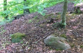 5: Store randsten langs højfoden omslutter de gamle gravhøje.