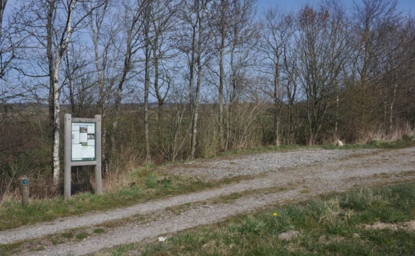 P-plads ved grusvejen nord for Enslev med oversigtstavle.
