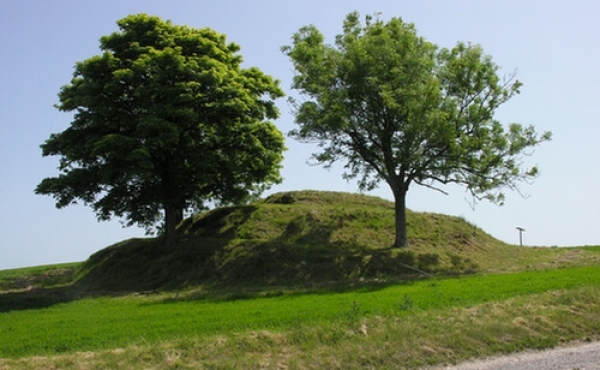 1: Bronzealdersgravhøjen 
