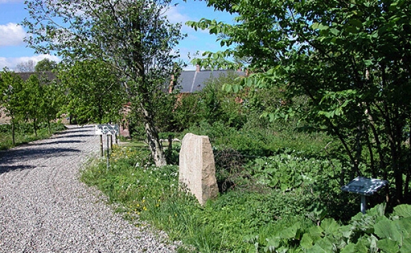 Svenstrup-stenen