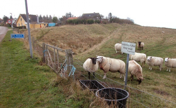Palisade-graven set fra vejen. Tag hensyn til de græssende får.