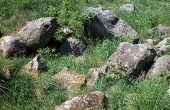 11: Bærestenene i langdyssens vestlige gravkammer set fra sydøst.