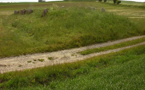 Langdyssens østende er afskåret af grusvejen.